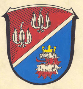 Crest of Vogelsberg District